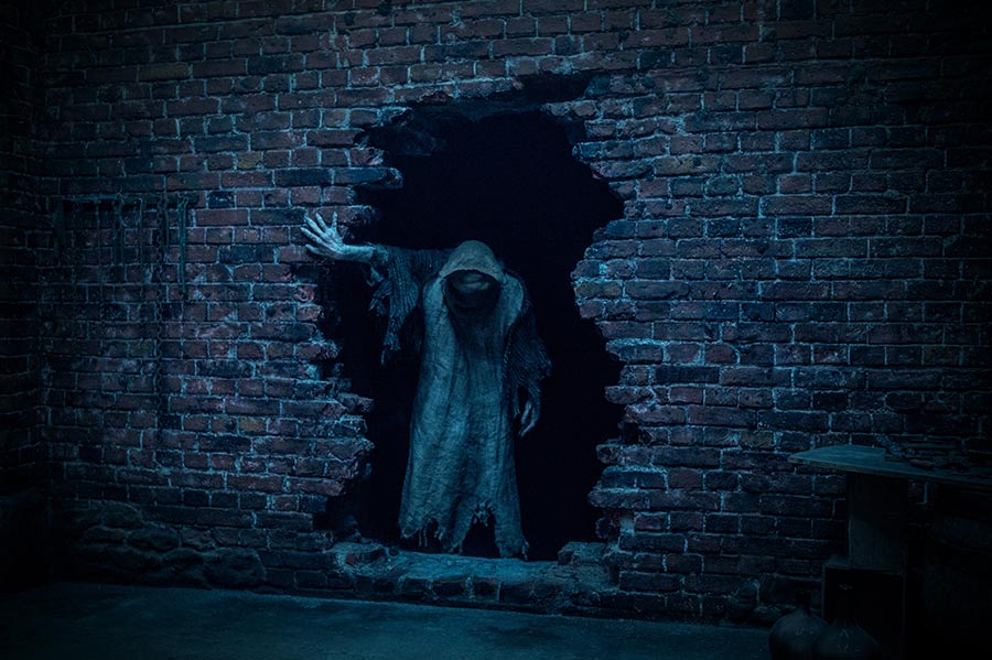 Baghead (DVD) Baghead (DVD)