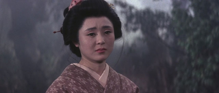 New Tale of Zatoichi (DVD) New Tale of Zatoichi (DVD)