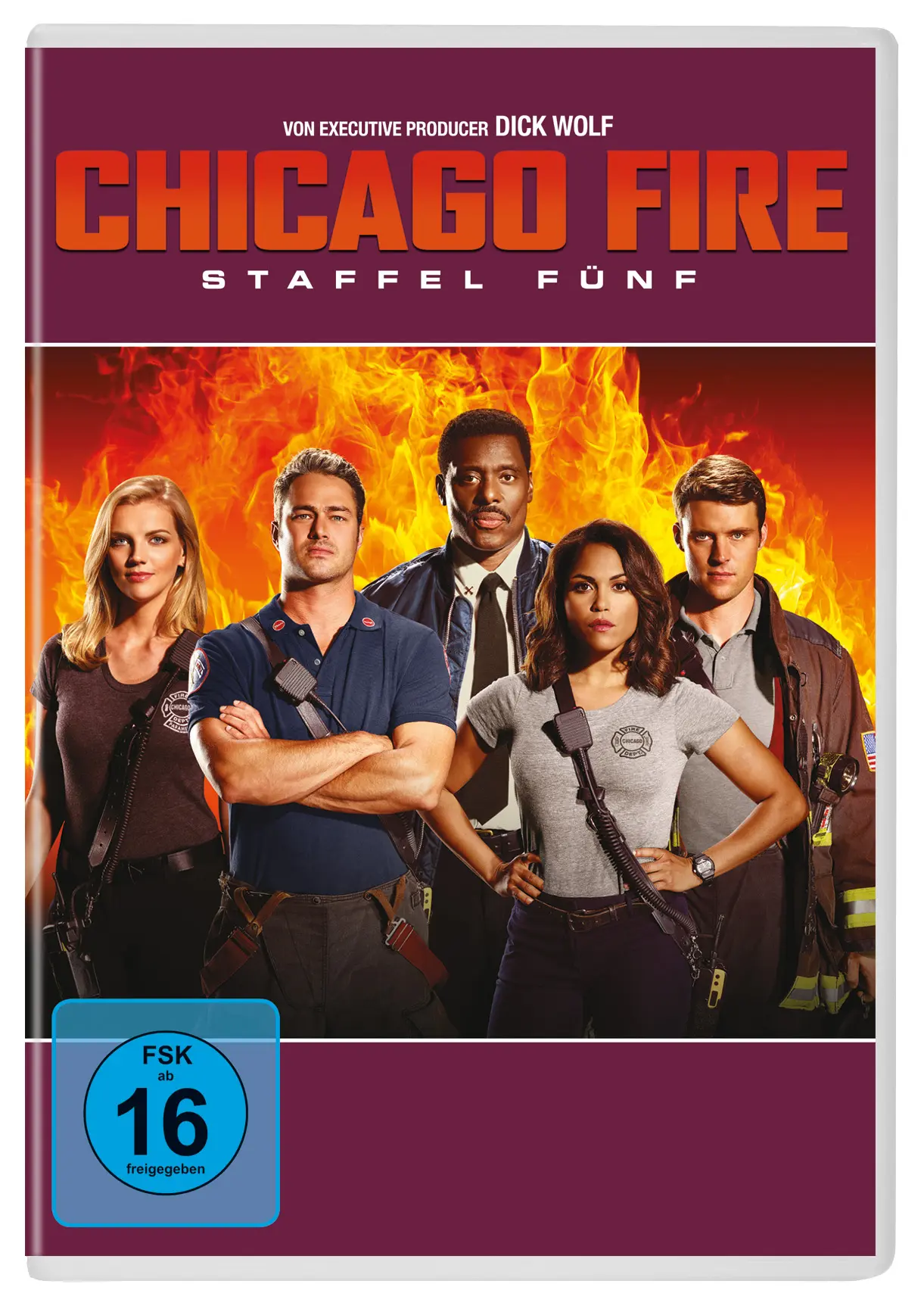 Chicago Fire: Staffel 5 (DVD)
