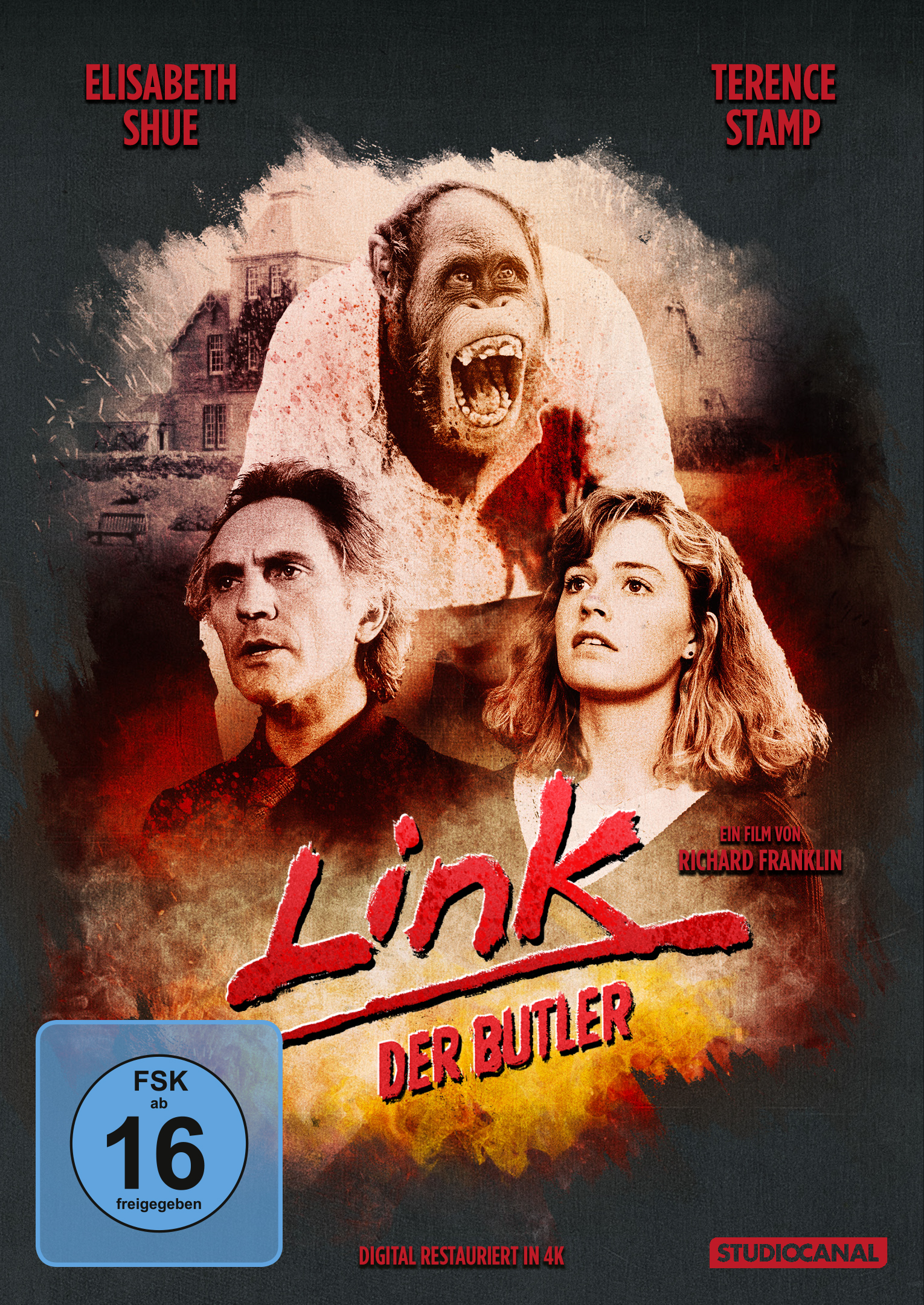 Link, der Butler - Digital Remastered (DVD) Cover Werbung, Plakat, Erwachsener, Person, Frau