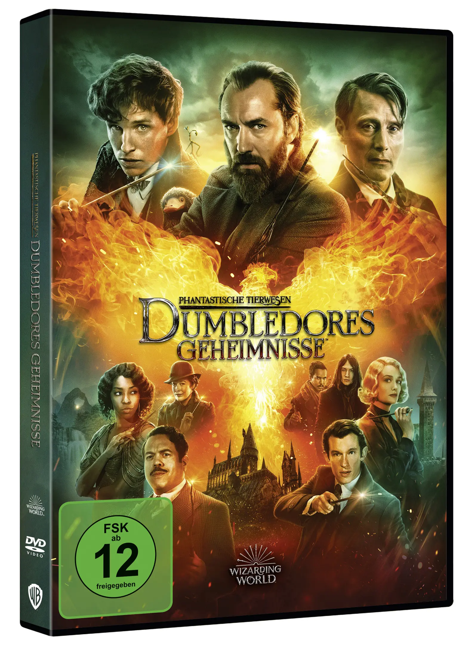 Phantastische Tierwesen: Dumbledores Geheimnisse (DVD)