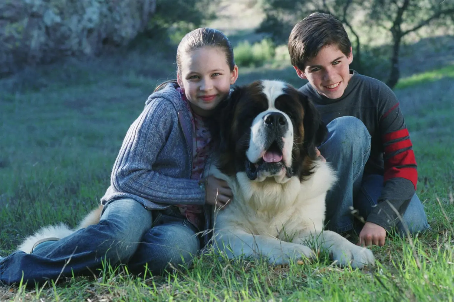 Beethoven - Komplettbox Film 1-8  (DVD)