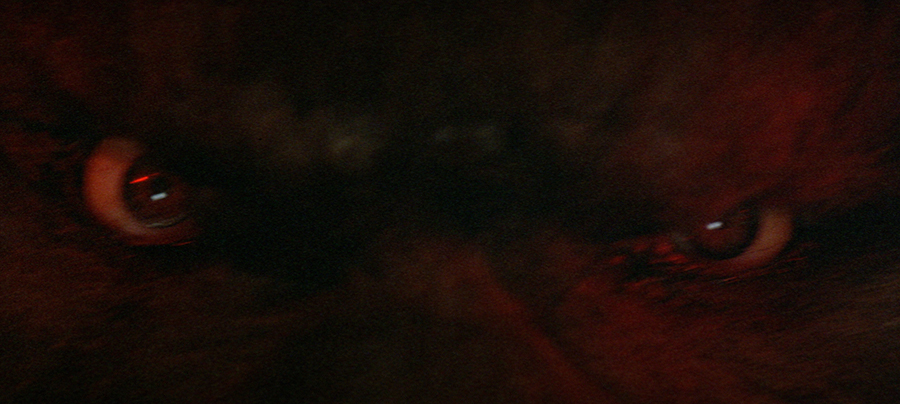 Stephen King:D.Werwolf v.Tarker Mills (Blu-ray) Stephen King:D.Werwolf v.Tarker Mills (Blu-ray)