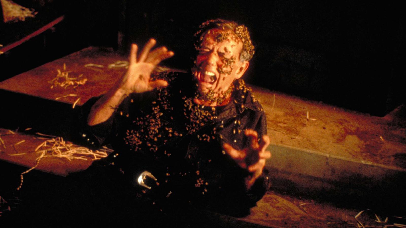 Candyman 2 - D.Blutrache (DVD) Candyman 2 - D.Blutrache (DVD)