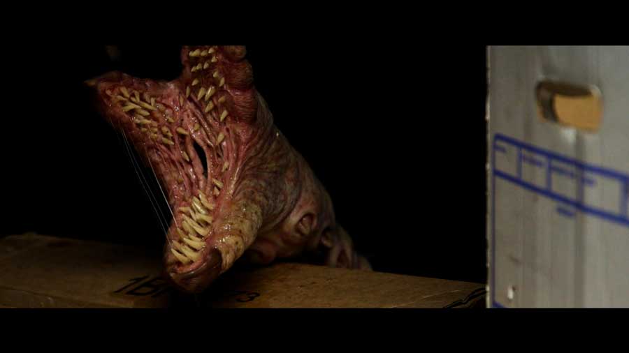 Crawlers - Angriff der Killerwürmer (DVD) Image 5