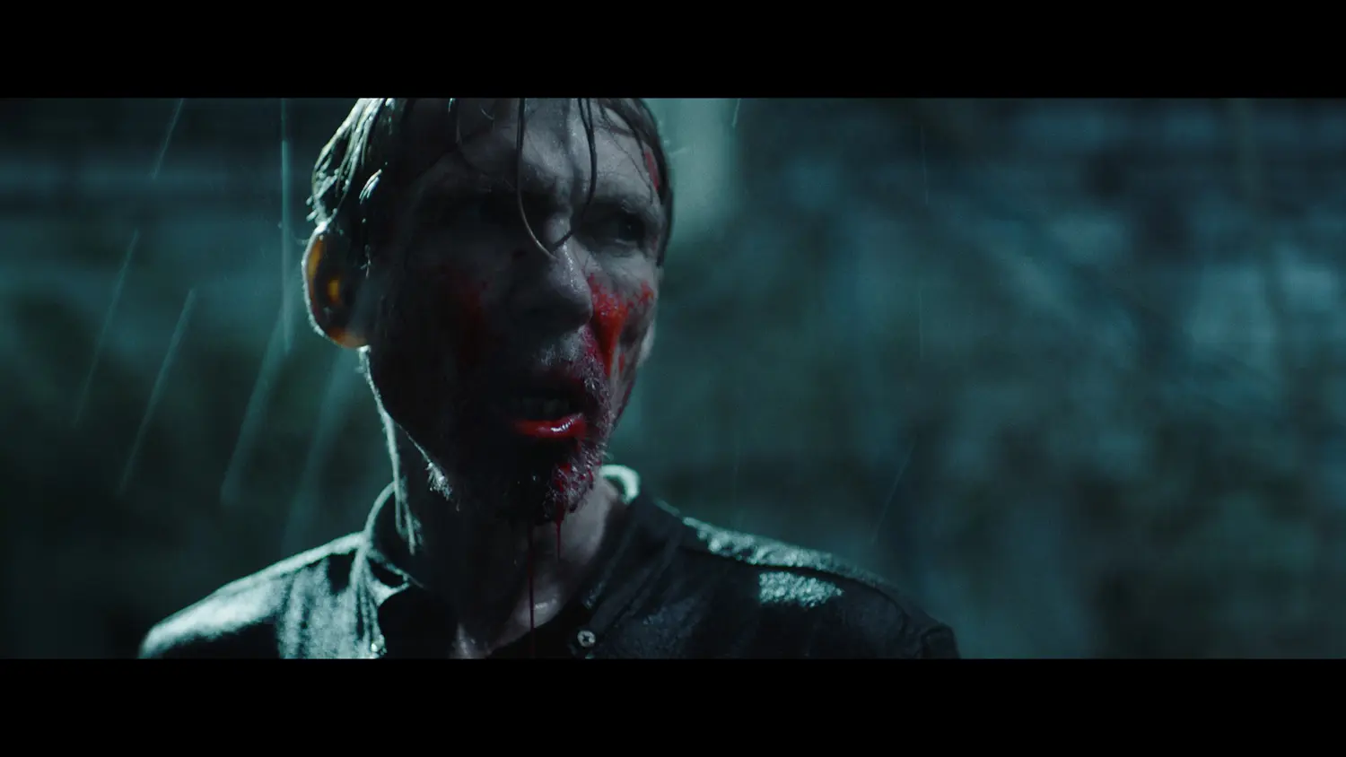 Pinocchio Unstrung (DVD)