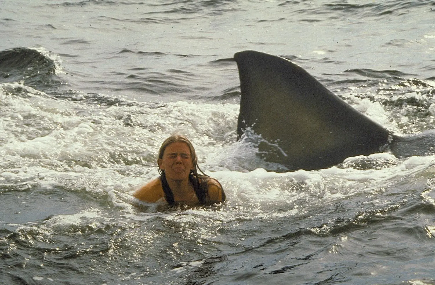 Der weiße Hai 2 (Blu-ray)