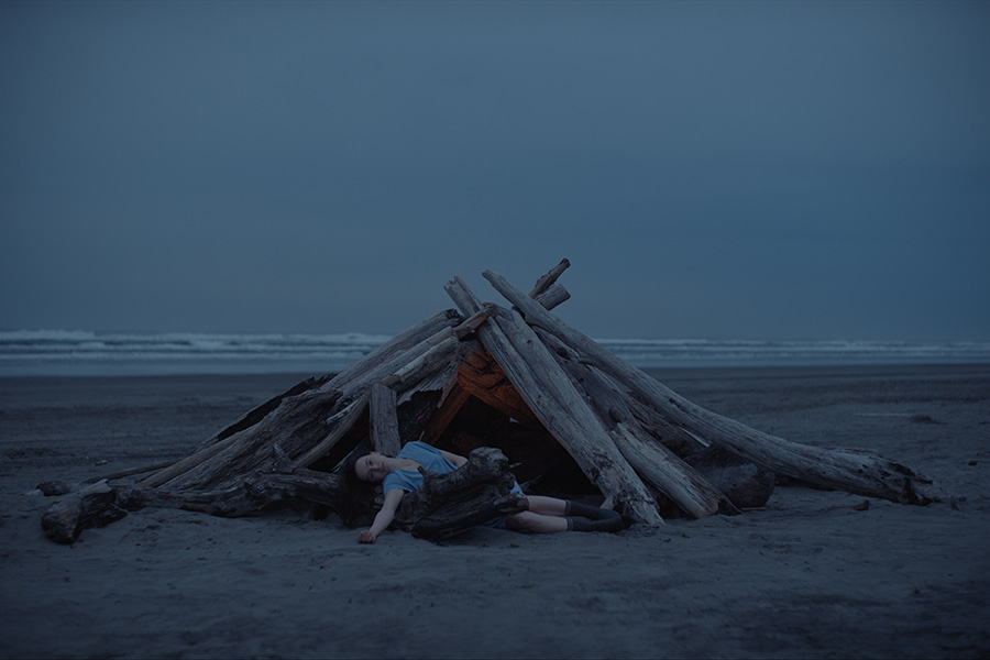 Daydreams (DVD) Holz, Person, Treibholz, Draußen, Unterschlupf