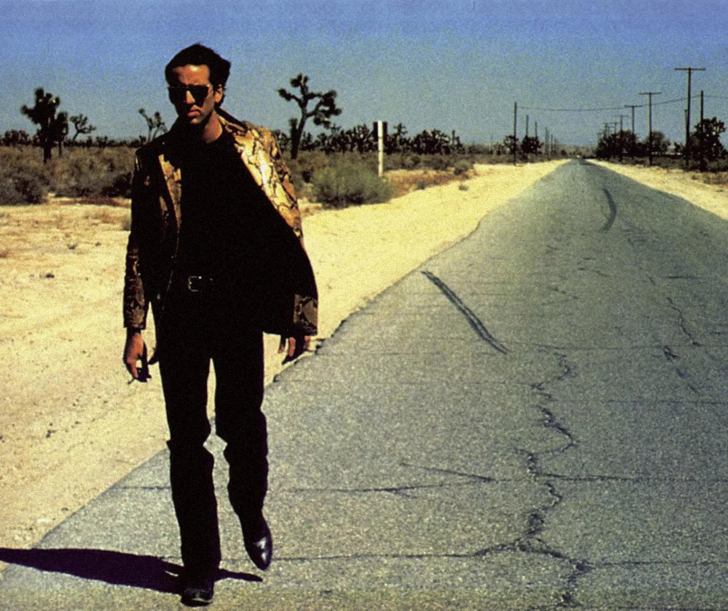 Wild at Heart (Blu-ray)