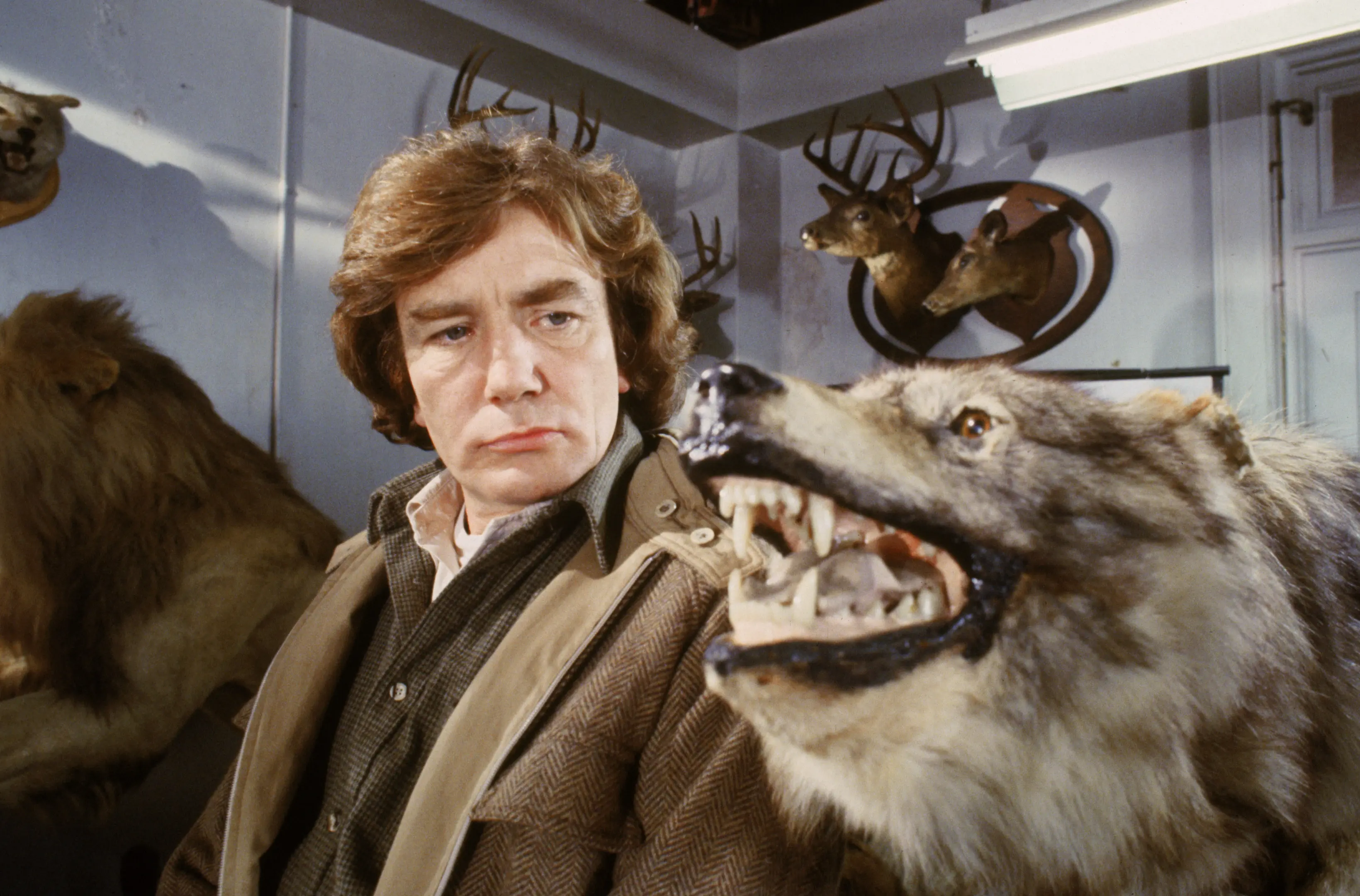 Wolfen (Mediabook A, Blu-ray+DVD) Wolfen (Mediabook A, Blu-ray+DVD)