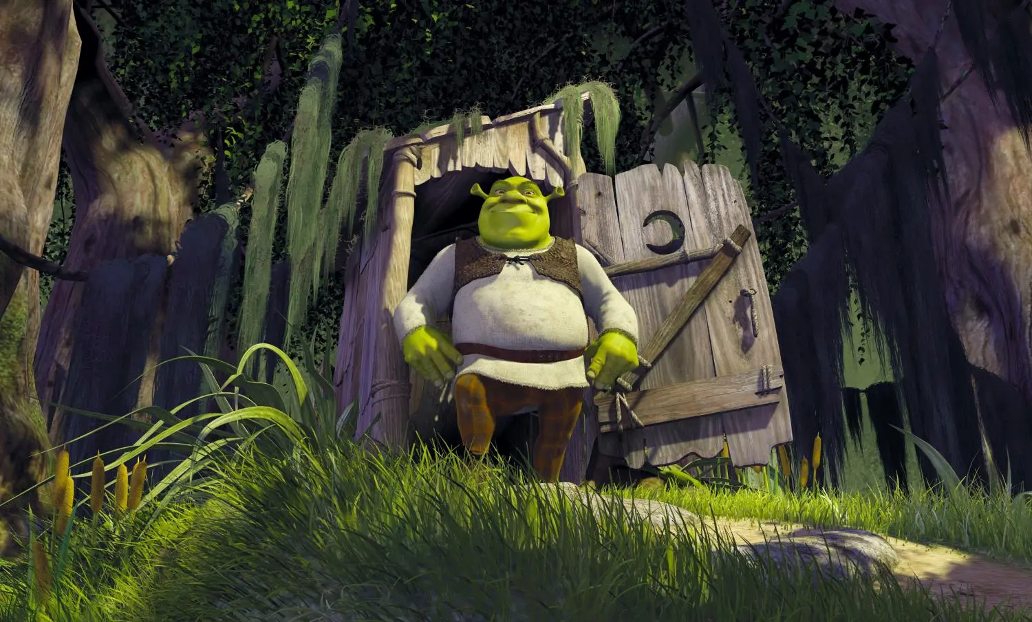 Shrek - Der tollkühne Held (DVD)