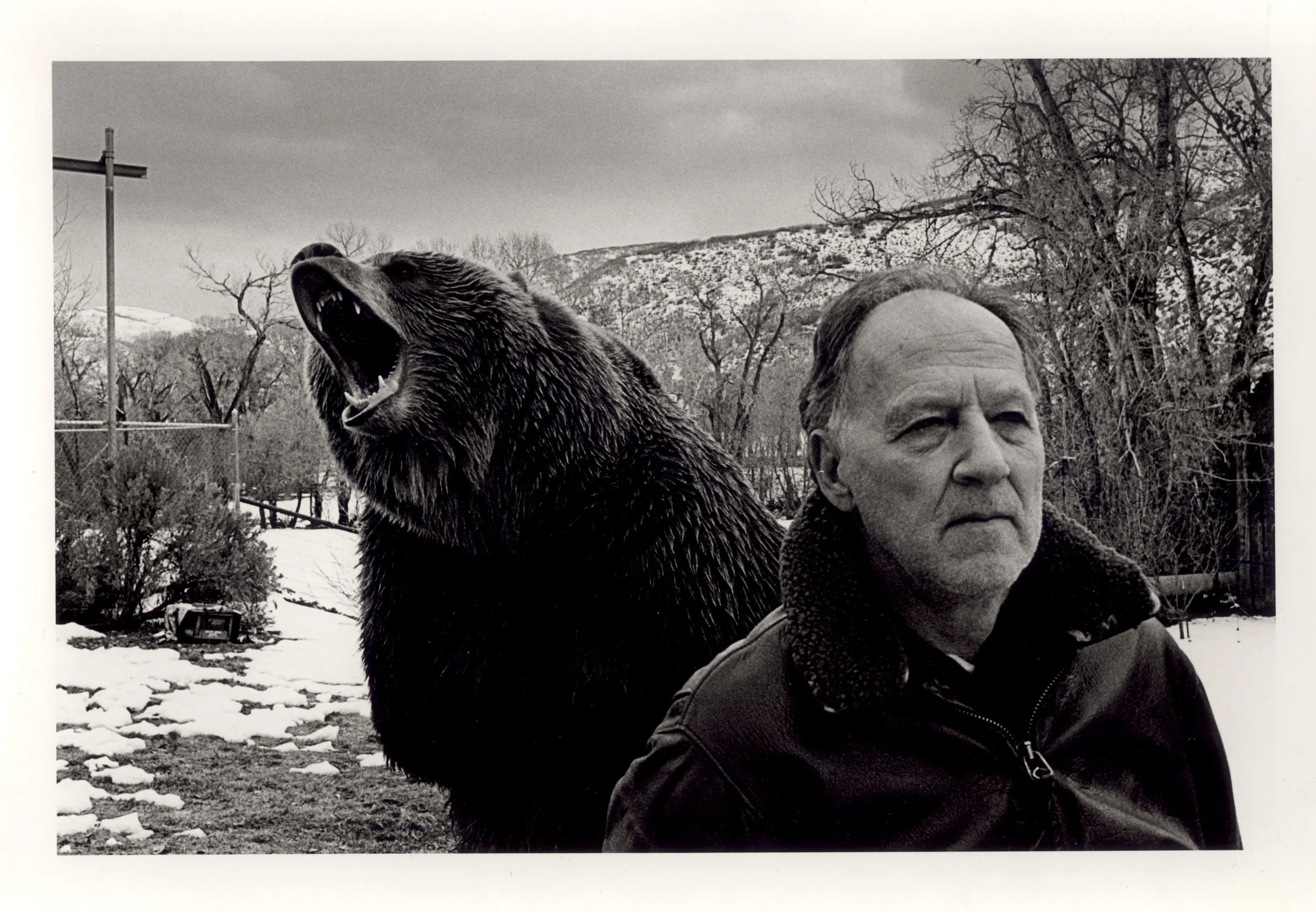 Grizzly Man (Blu-ray)