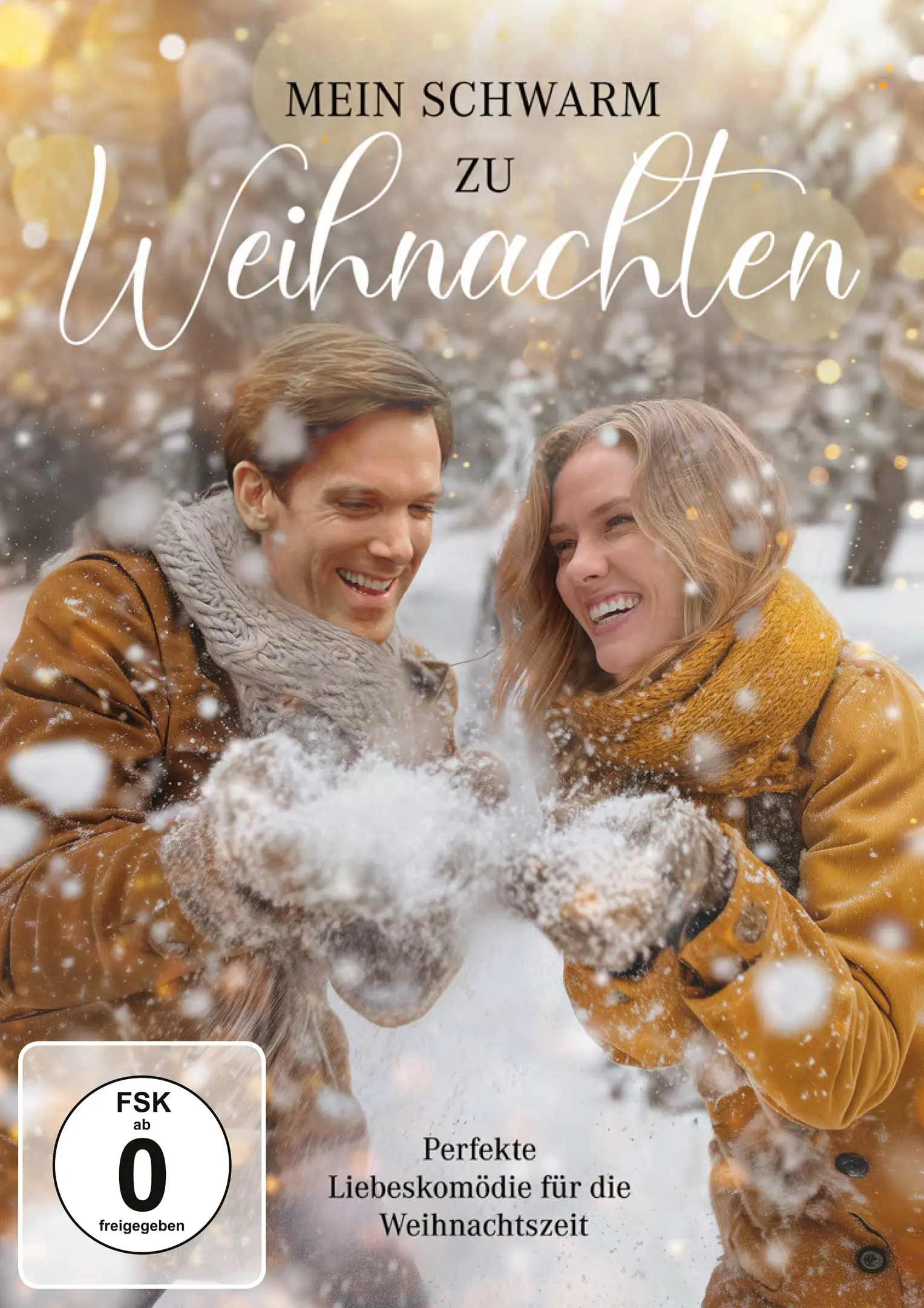 Mein Schwarm zu Weihnachten (DVD)