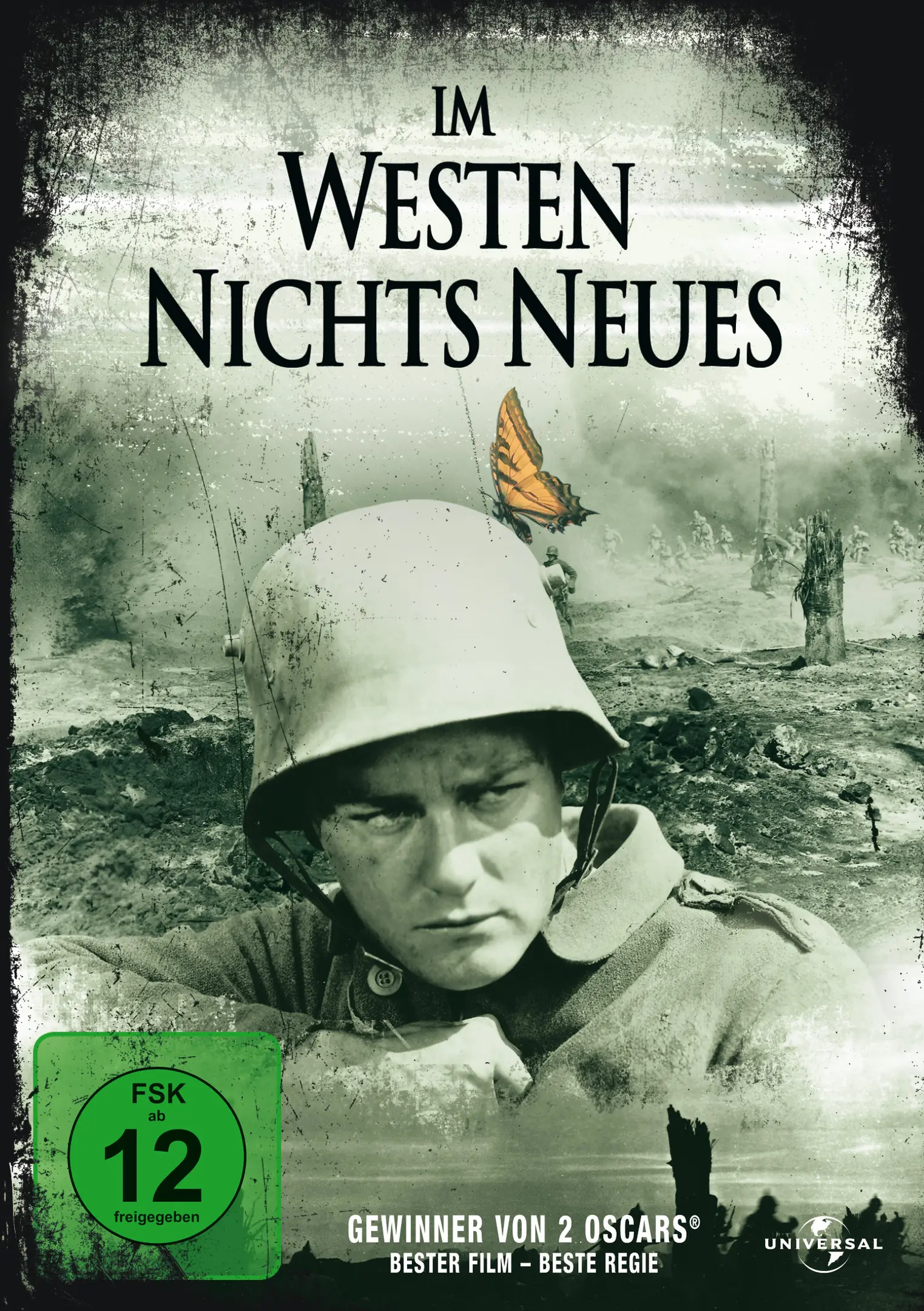 Im Westen nichts Neues (DVD)