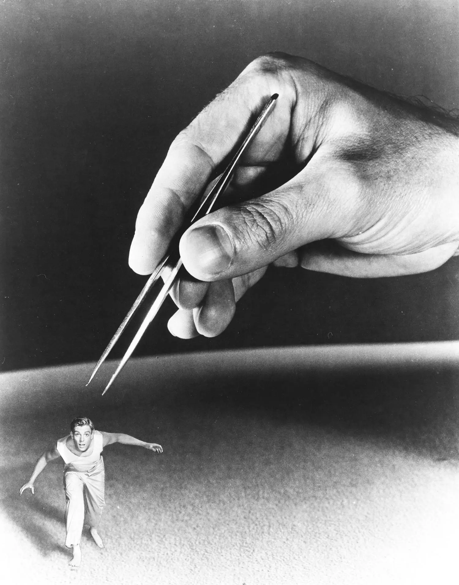 Die unglaubliche Geschichte des Mr. C (DVD)