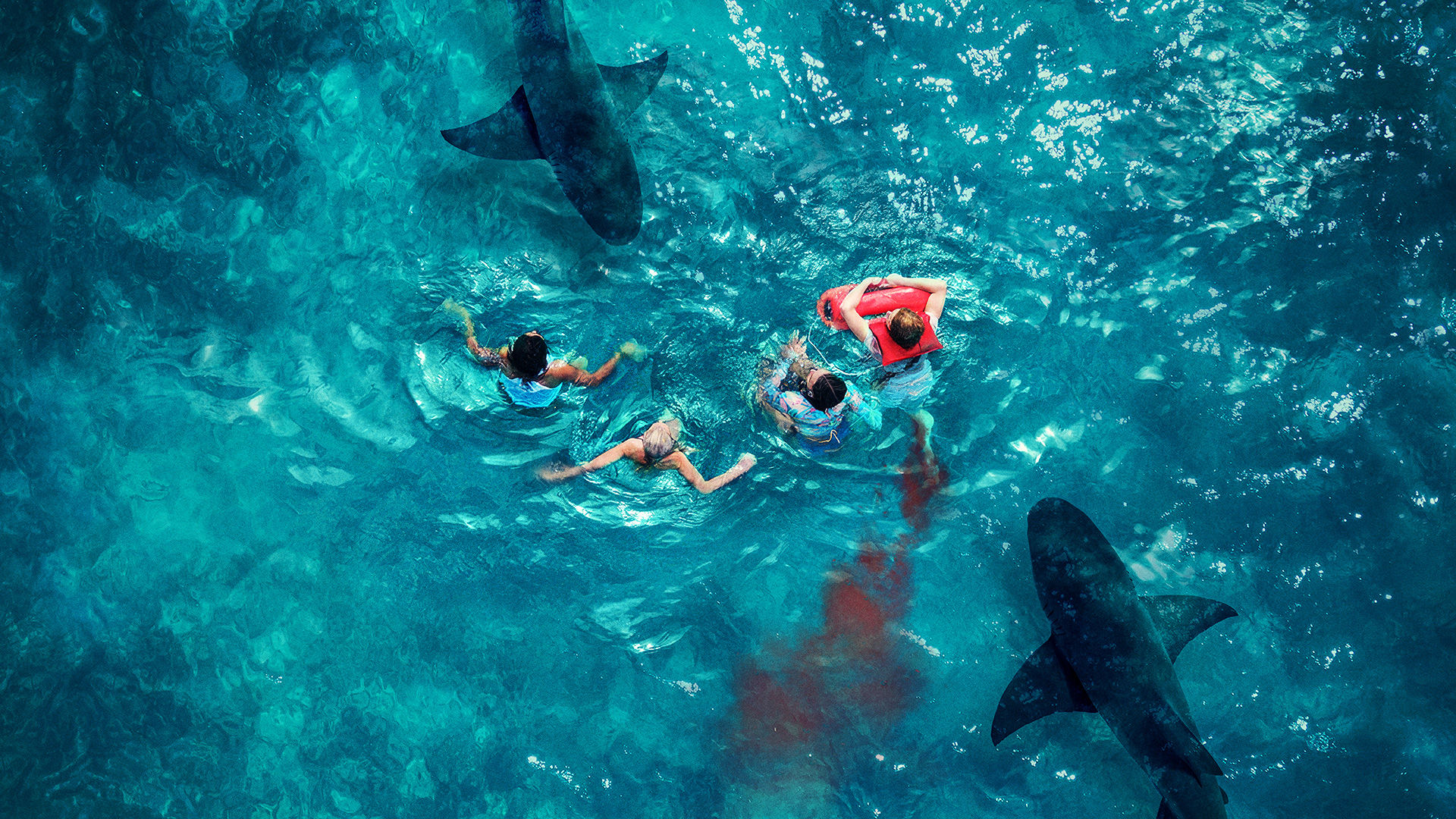 Something in the Water (DVD) Something in the Water (DVD)