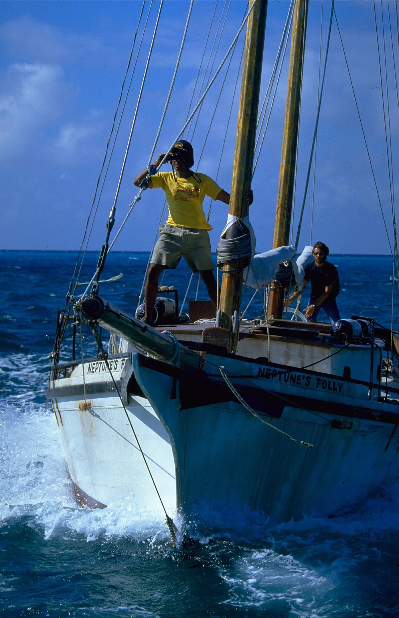 Der weiße Hai 4 - Die Abrechnung (Blu-ray)