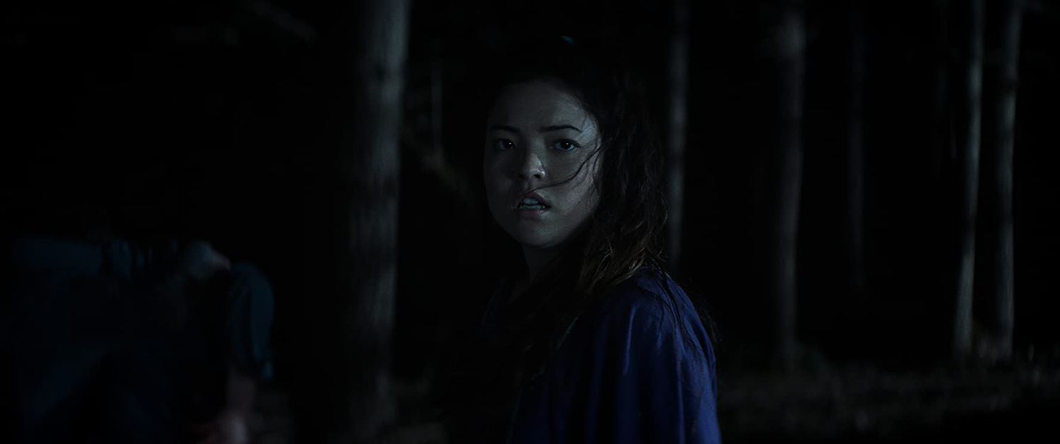 The Witch next Door (DVD) The Witch next Door (DVD)