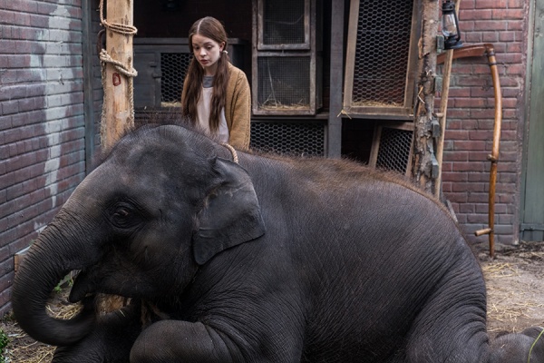 Zoo (Blu-ray) Zoo (Blu-ray)