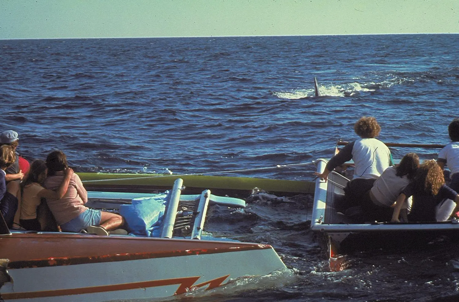 Der weiße Hai 2 (Blu-ray)