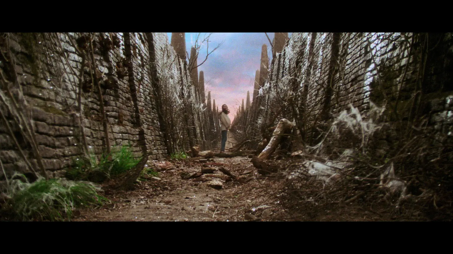 Die Reise ins Labyrinth - Collector´s Steelbook Edition (4K-UHD+2 Blu-rays) (Shop)