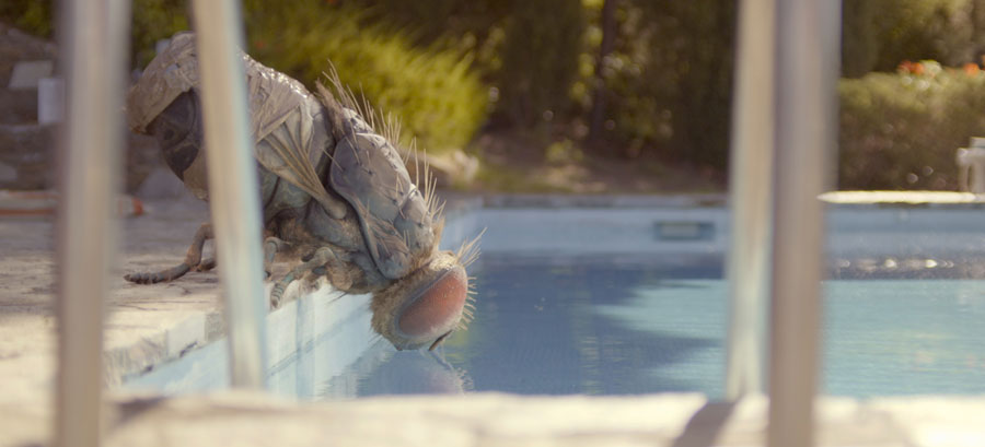 Eine Fliege kommt selten a.(Mediabook, Blu-ray+DVD) Eine Fliege kommt selten a.(Mediabook, Blu-ray+DVD)