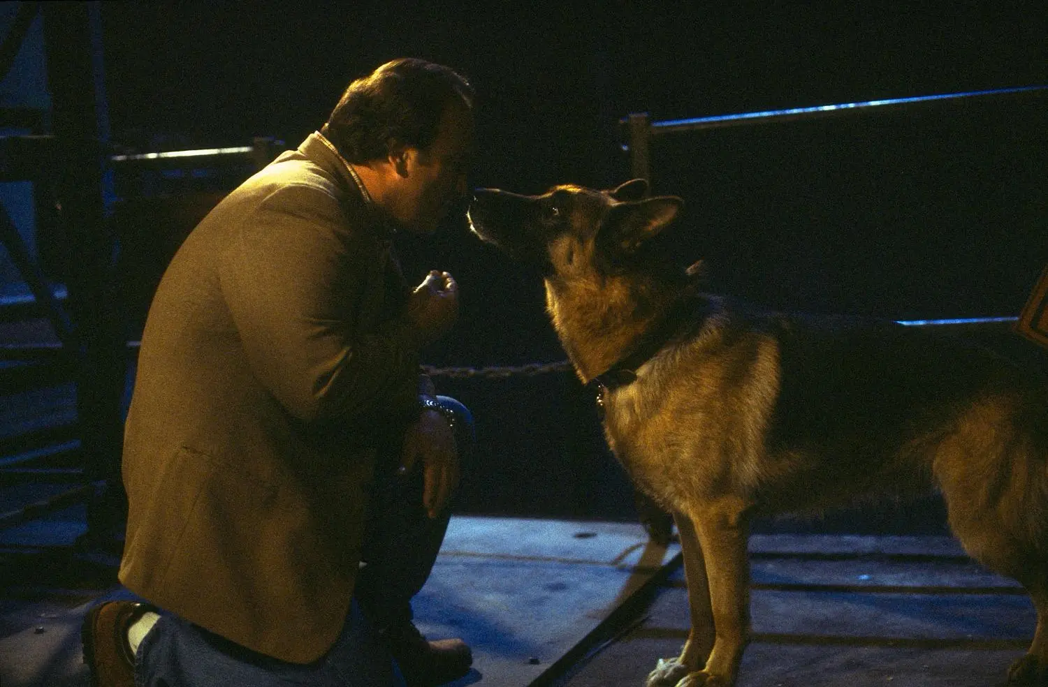 Mein Partner mit der kalten Schnauze 1-3 (Blu-ray)