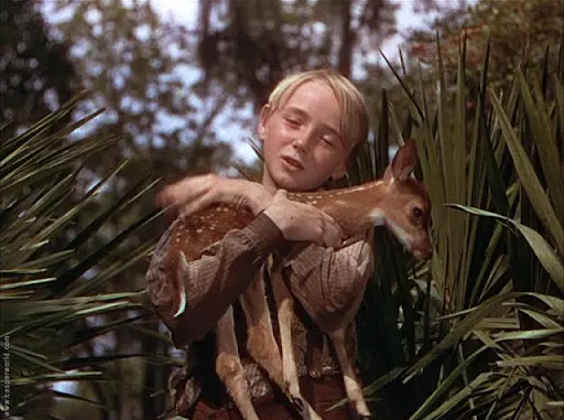 Die Wildnis ruft (Mediabook, Blu-ray+DVD)