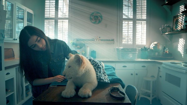 Lena and Snowball (DVD) Lena and Snowball (DVD)