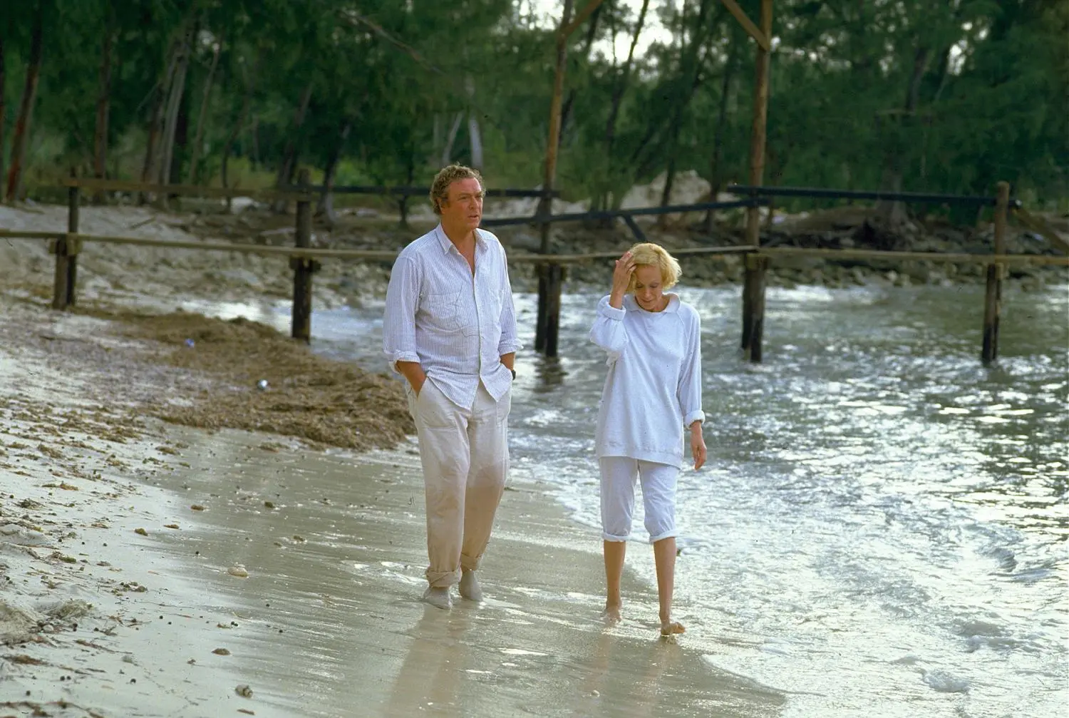 Der weiße Hai 4 - Die Abrechnung (Blu-ray)