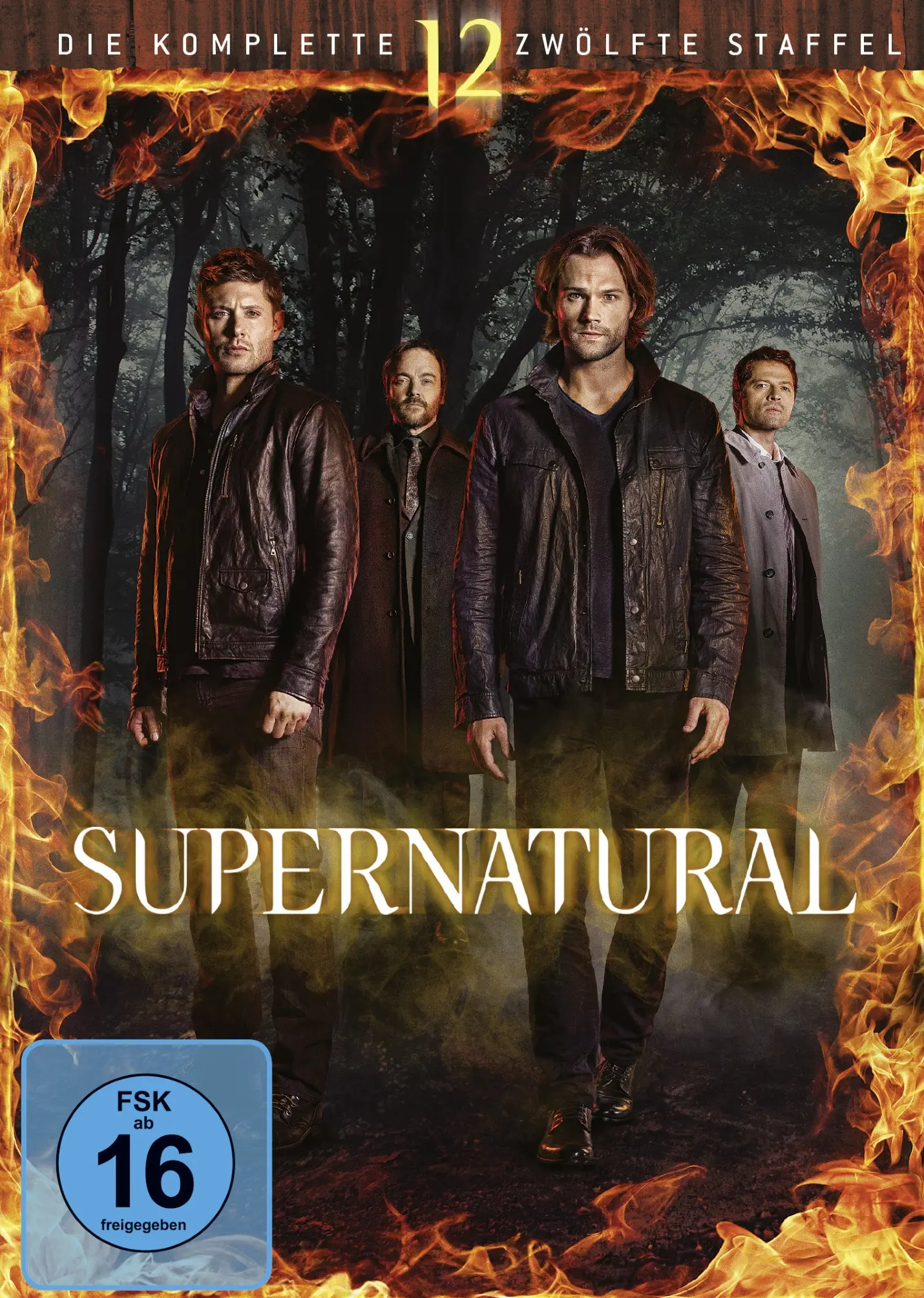 Supernatural: Die komplette 12. Staffel (DVD)