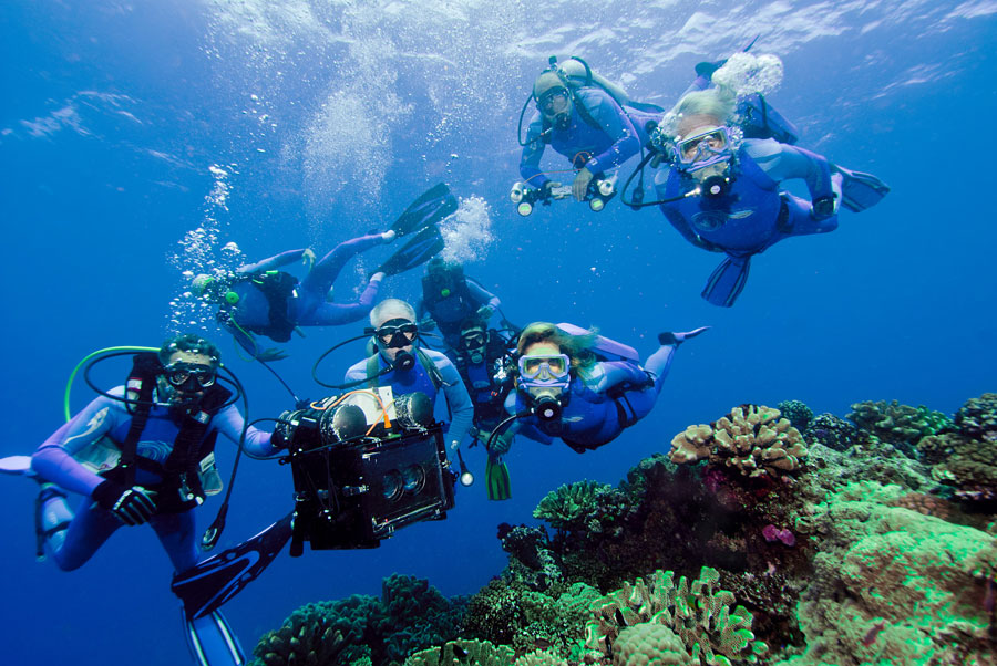 Wonders of the Sea (DVD) Wonders of the Sea (DVD)