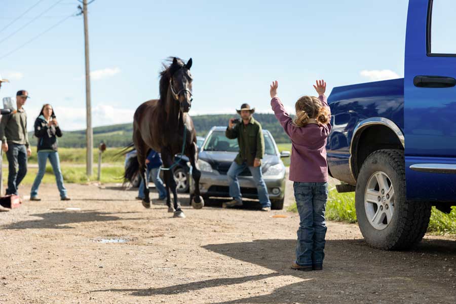 Heartland - Paradies für Pferde, Staffel 16 (4 DVDs) Heartland - Paradies für Pferde, Staffel 16 (4 DVDs)