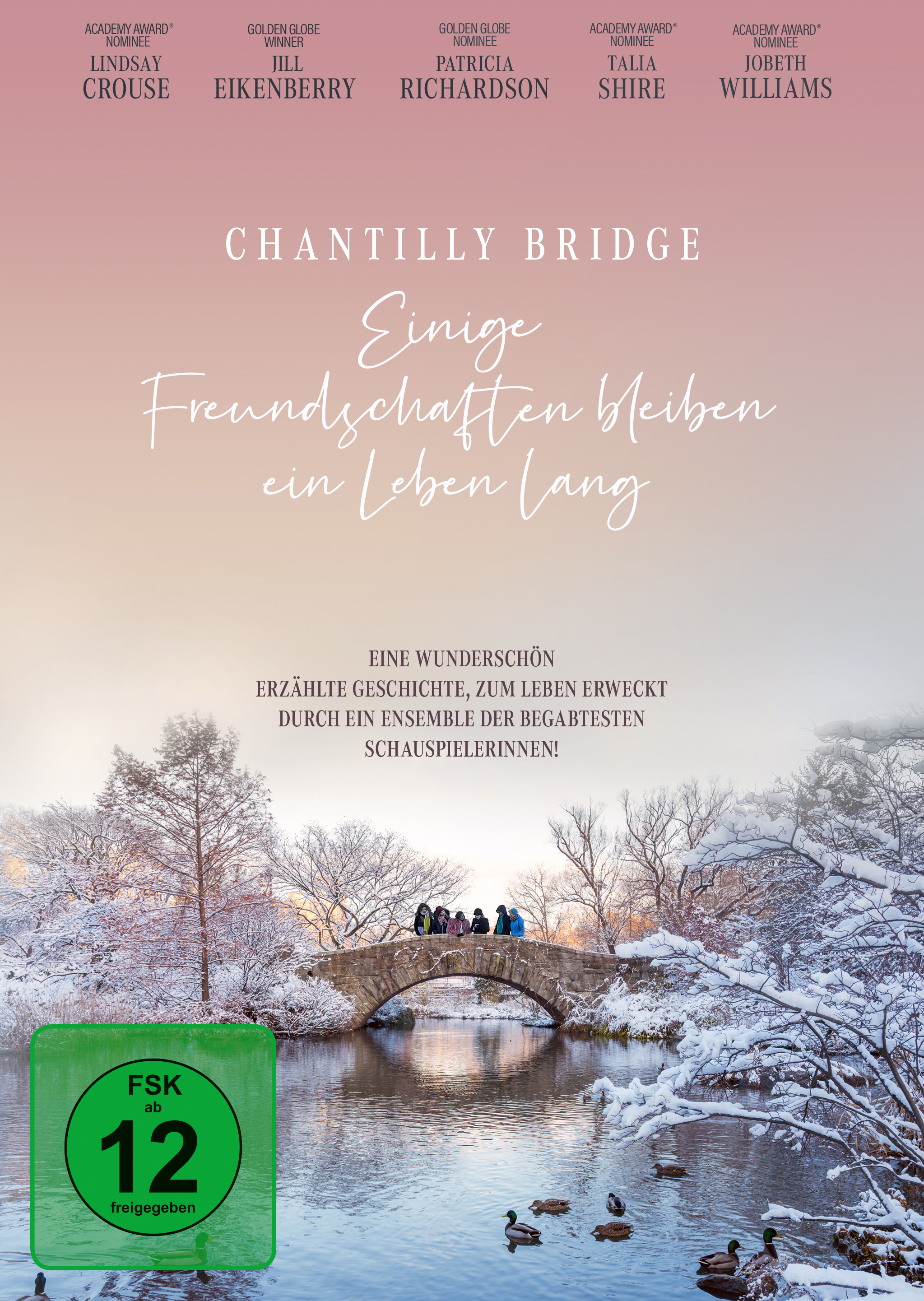 Chantilly Bridge - Einige Freundschaften bleiben ein Leben lang (DVD) Cover