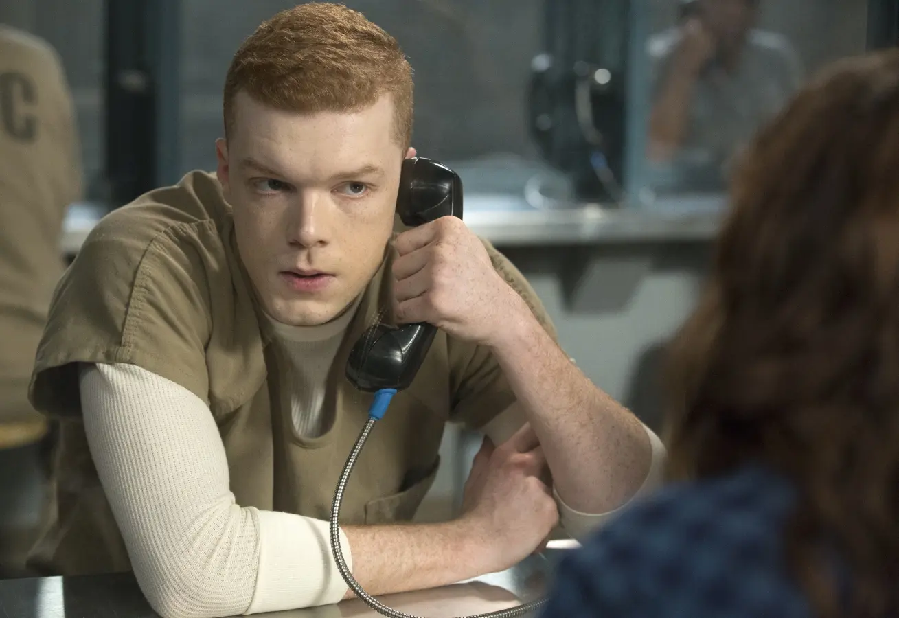Shameless: Die komplette 9. Staffel (DVD)