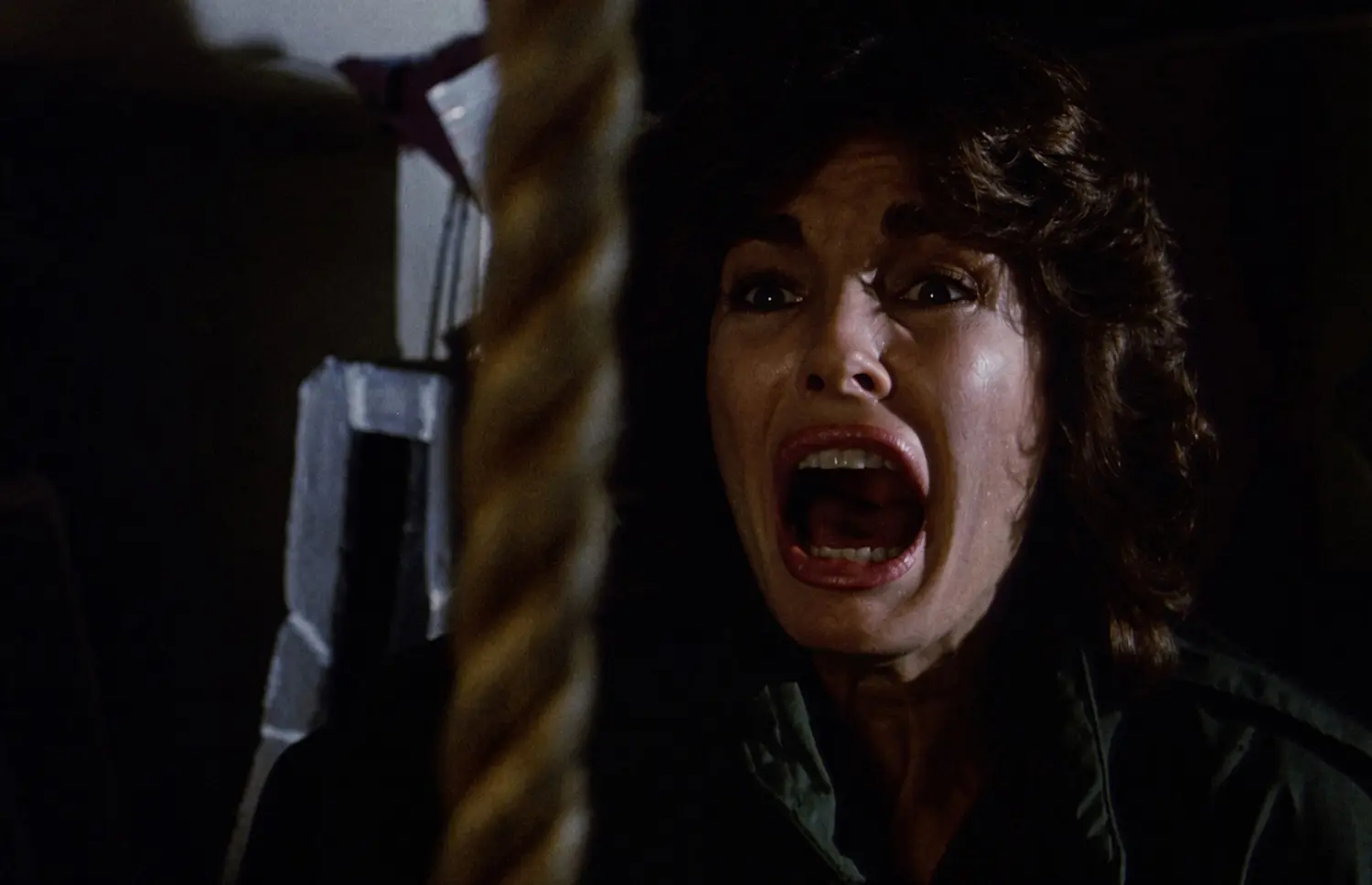 Too Scared to Scream (Blu-ray)
