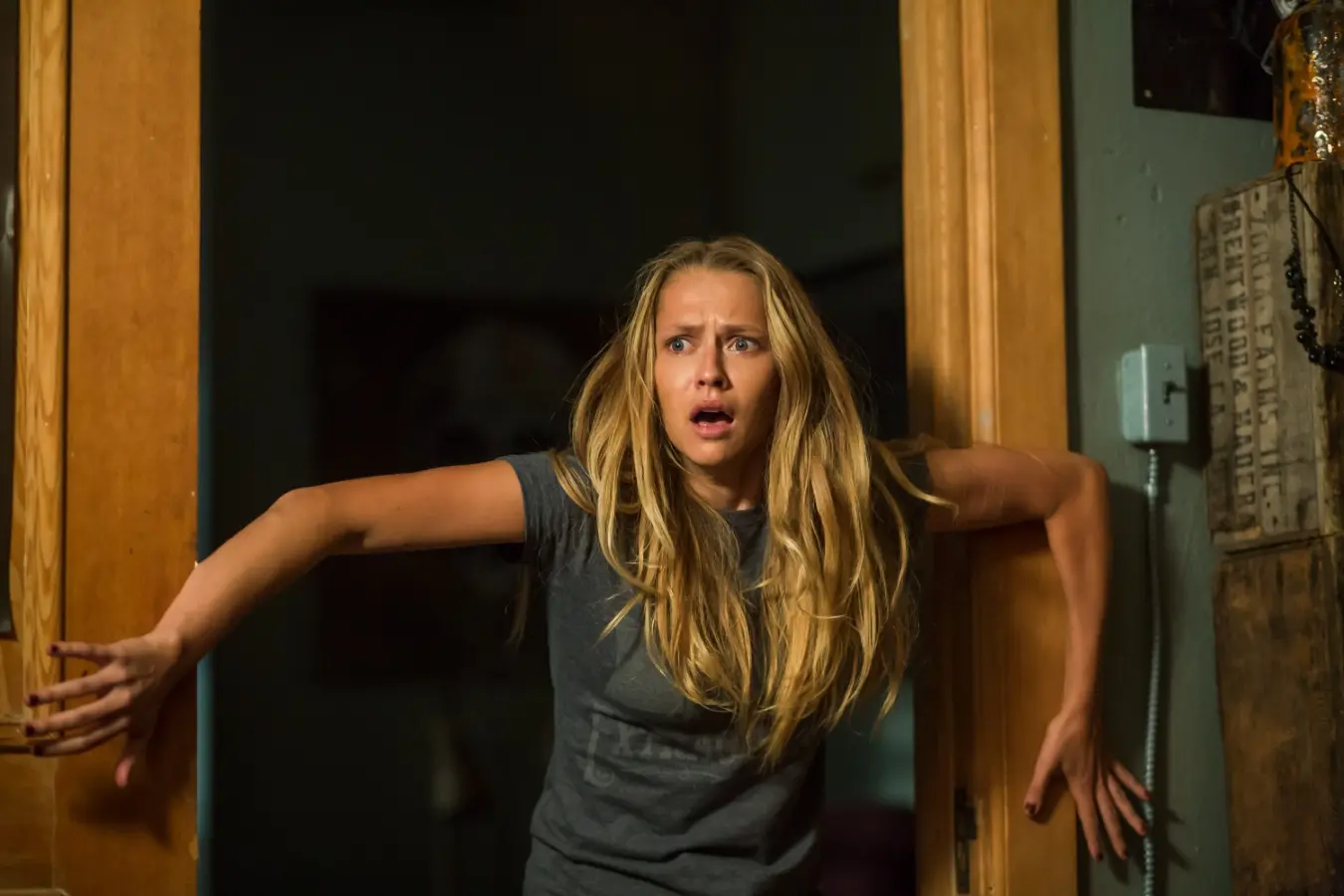 Lights Out (DVD)