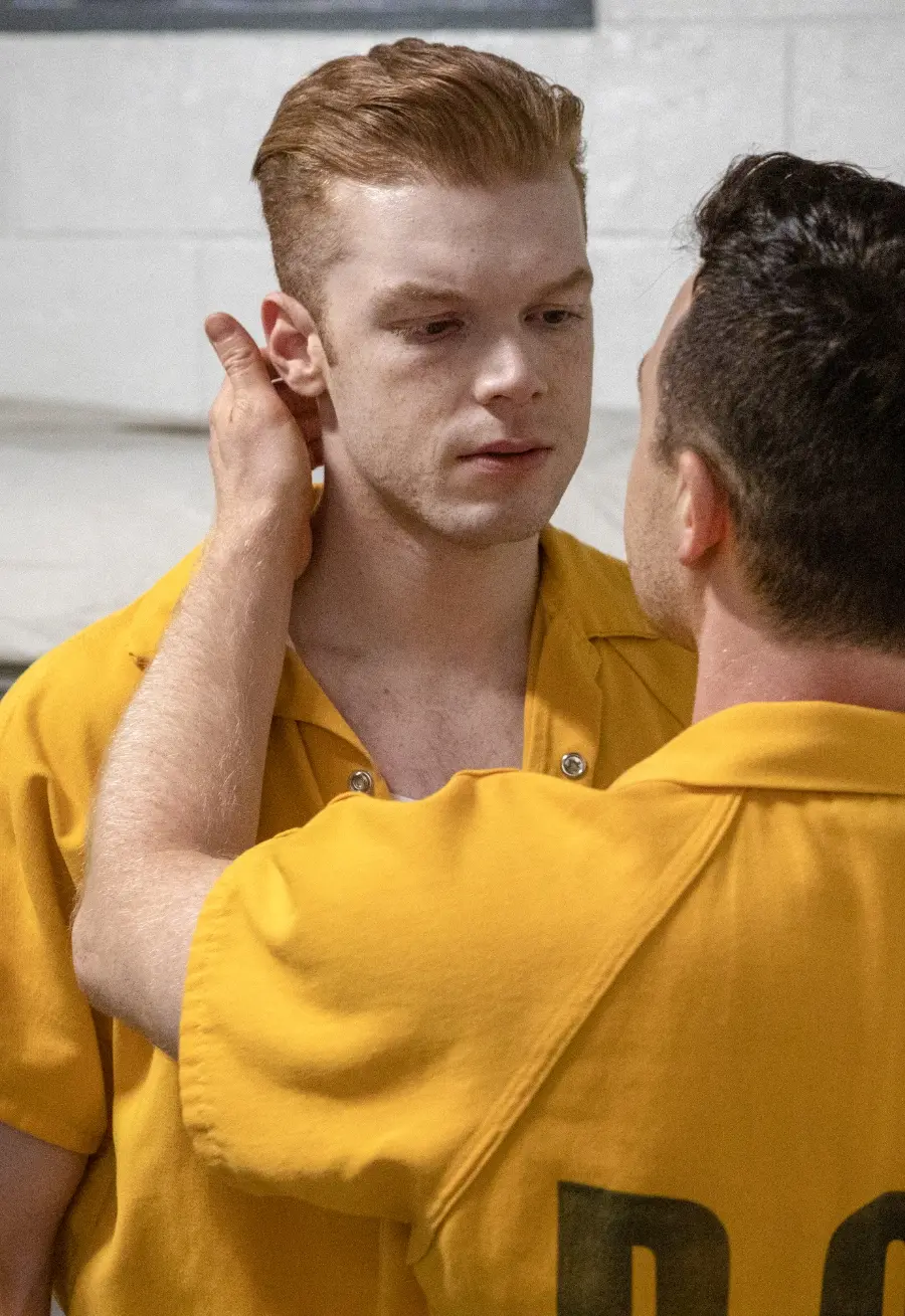 Shameless: Die komplette 10. Staffel (DVD)