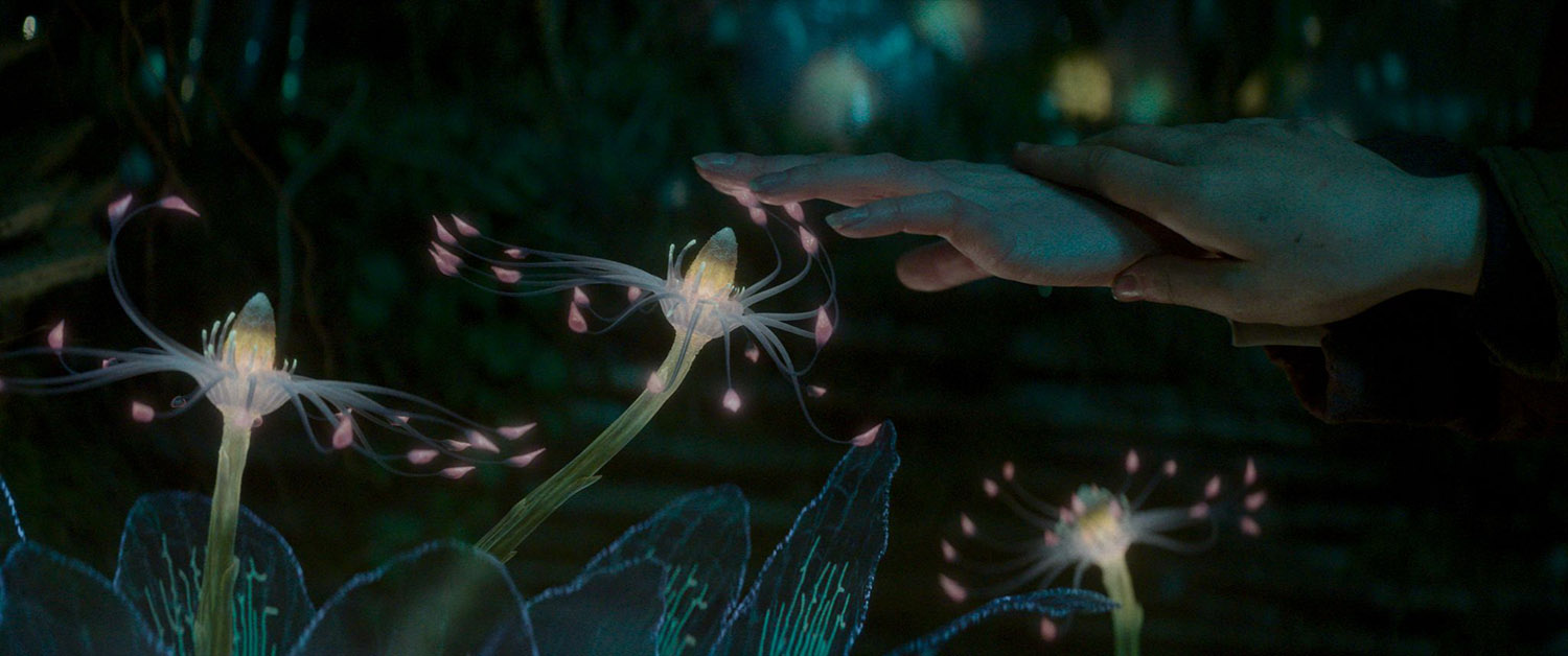 Vesper Chronicles (DVD) Vesper Chronicles (DVD)