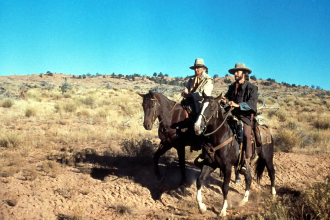 Der Texaner (Blu-ray)