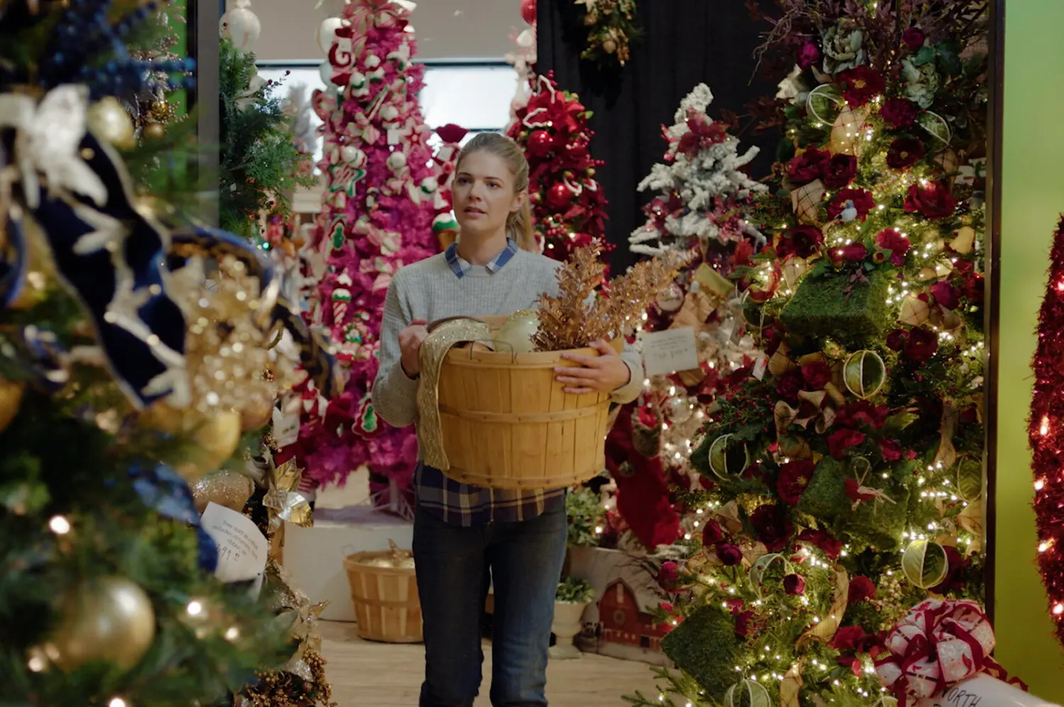Verzaubert unterm Weihnachtsbaum (DVD)