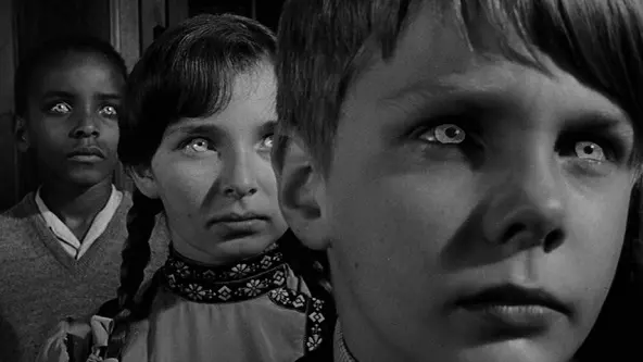 Box der Verdammten (2 Blu-rays)