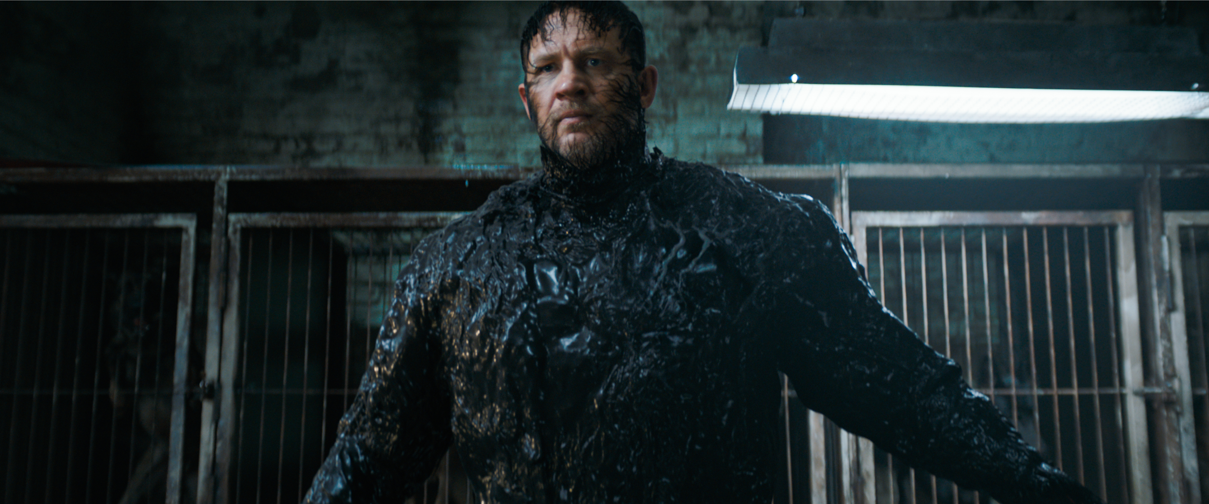 Venom: The Last Dance (4K-UHD+Blu-ray) Venom: The Last Dance (4K-UHD+Blu-ray)
