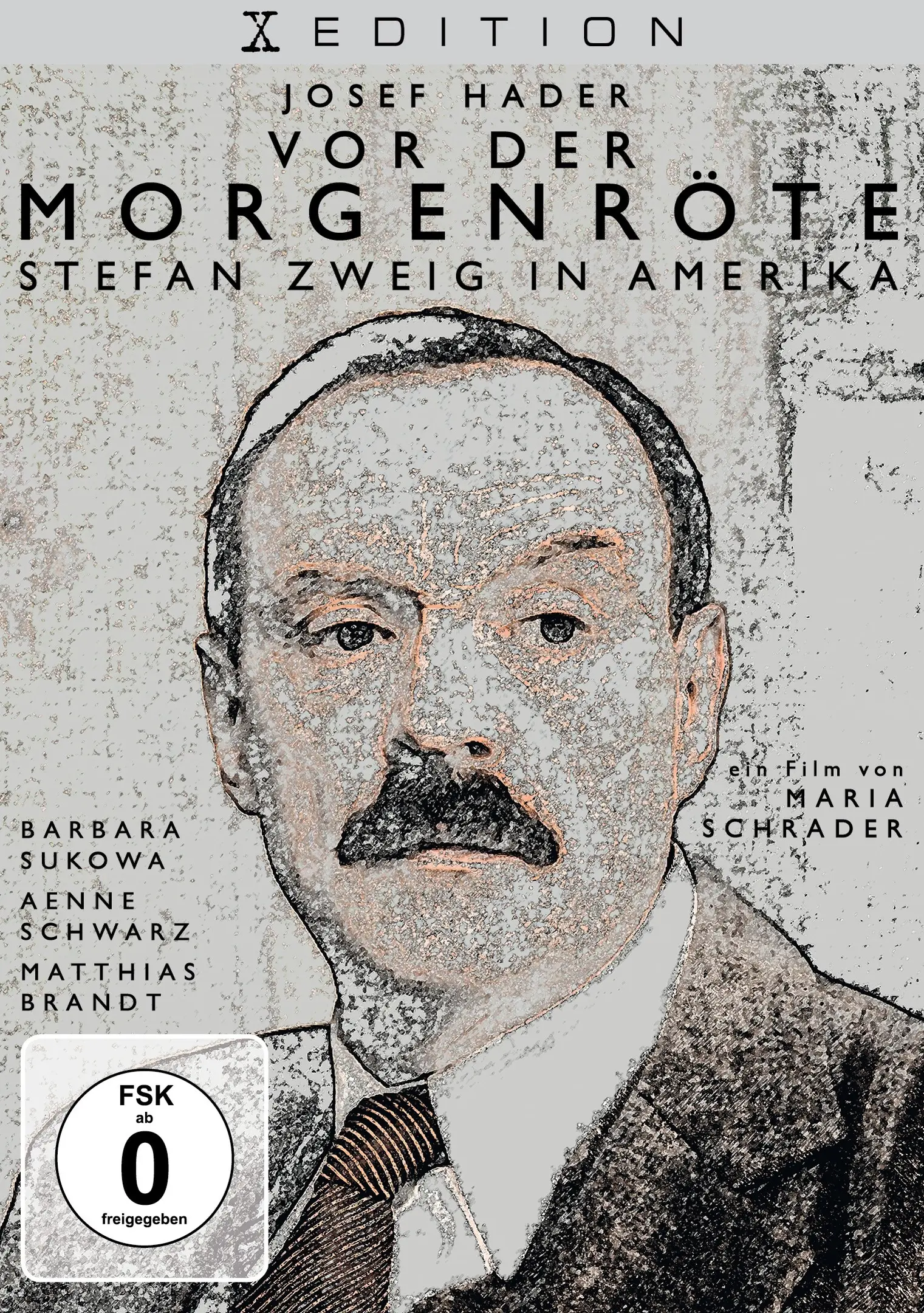 Vor der Morgenröte: Stefan Zweig in Amerika (DVD)