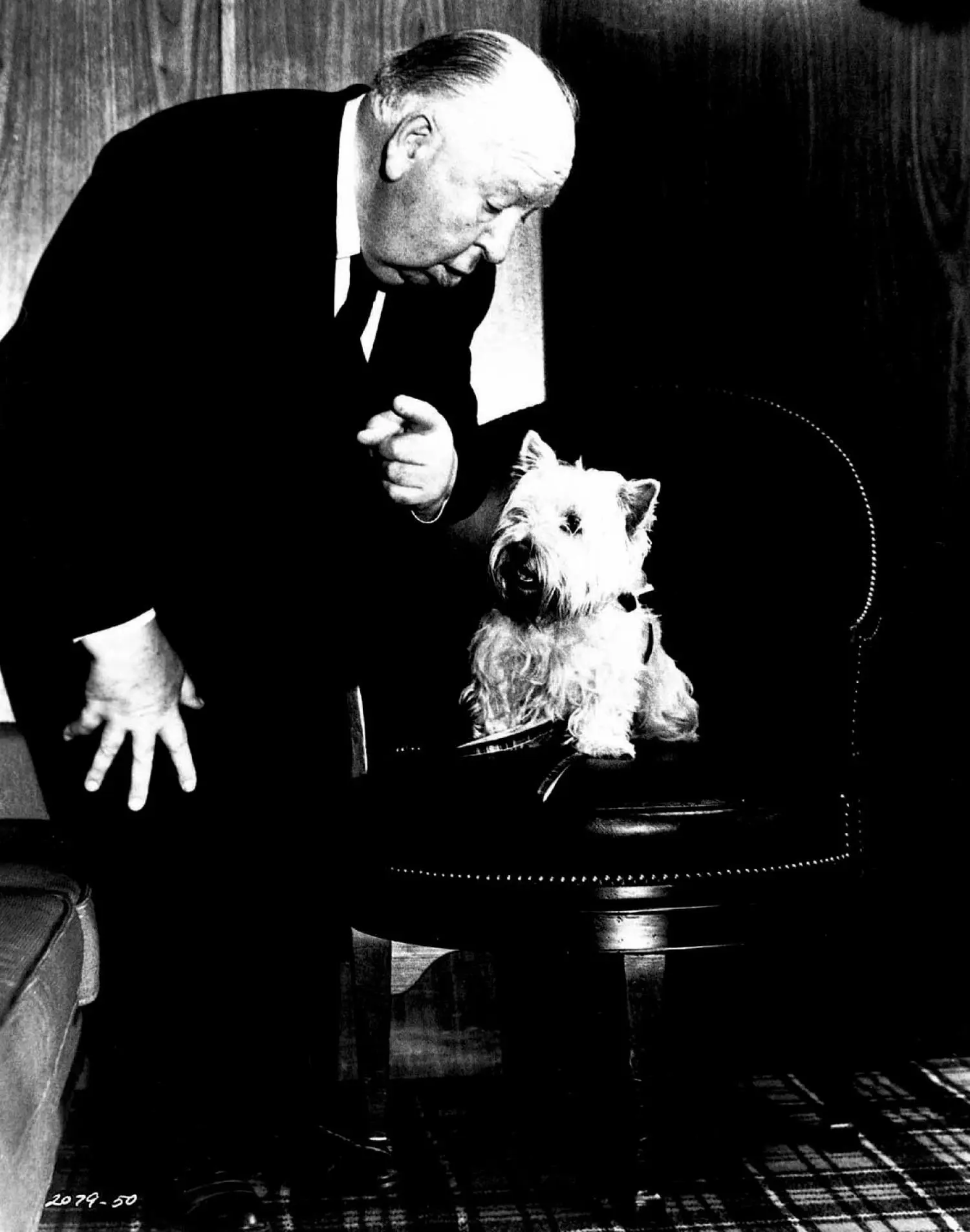 Psycho - Alfred Hitchcock Collection (DVD)