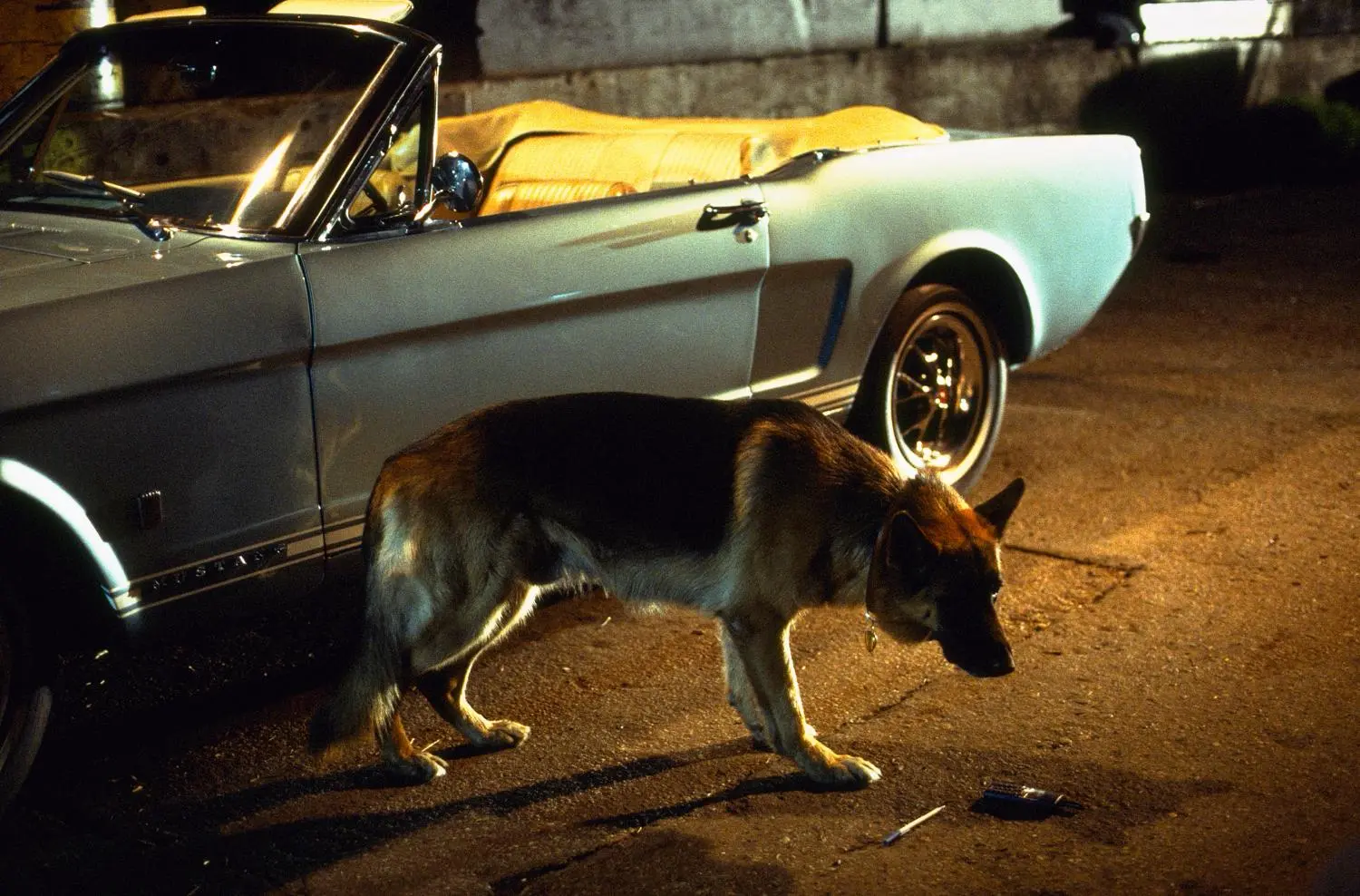 Mein Partner mit der kalten Schnauze 1-3 (Blu-ray)