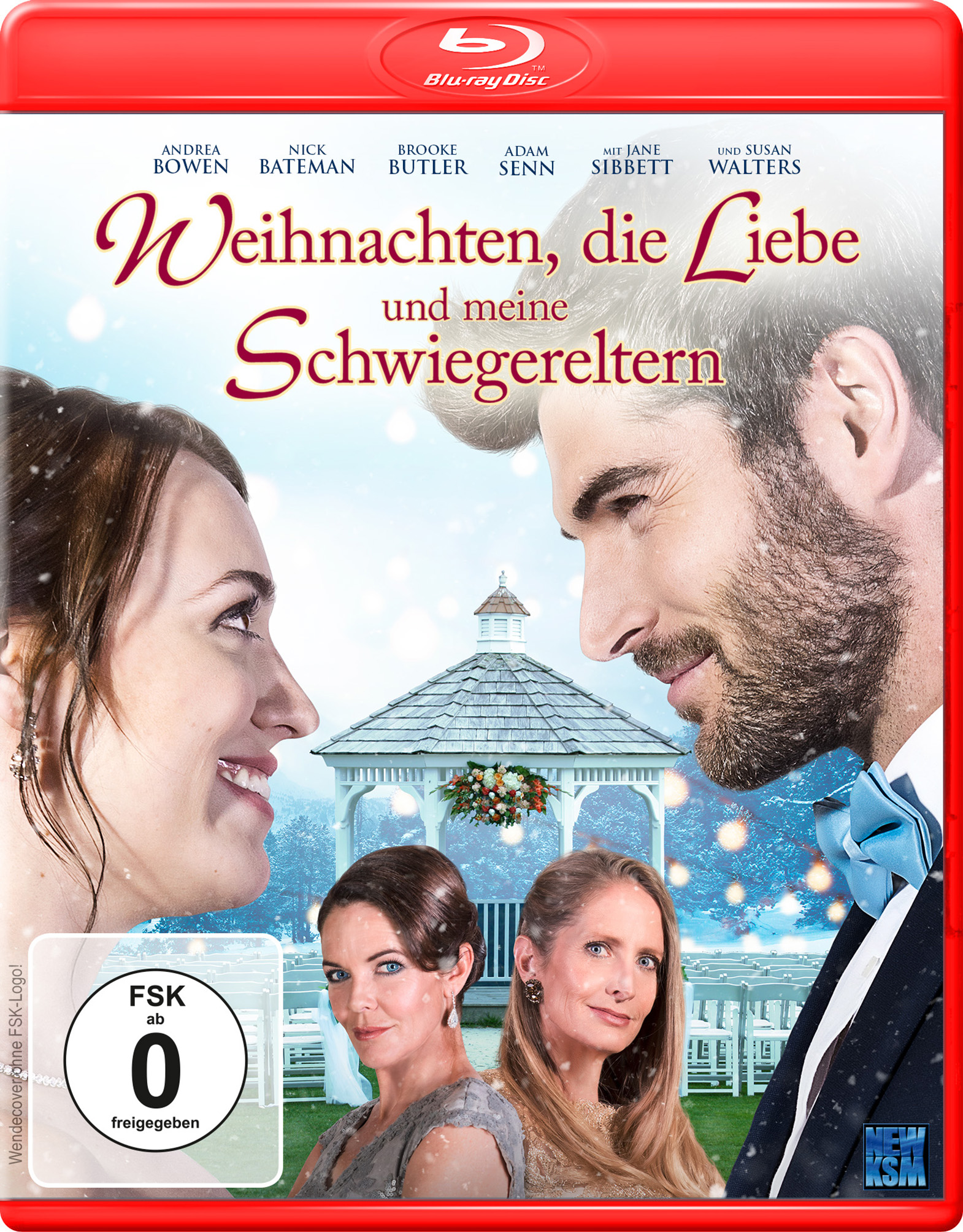 Weihnachten, die Liebe und m (Blu-ray)