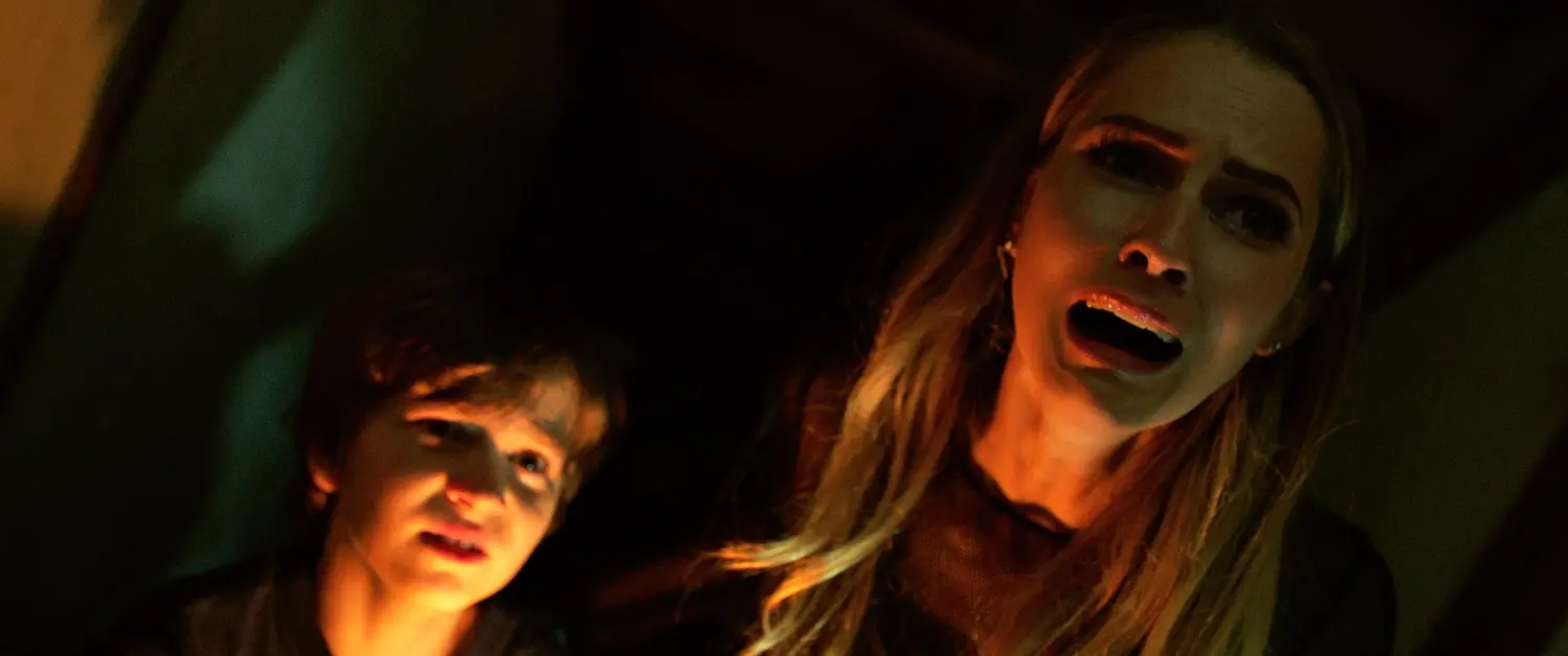 Lights Out (DVD)