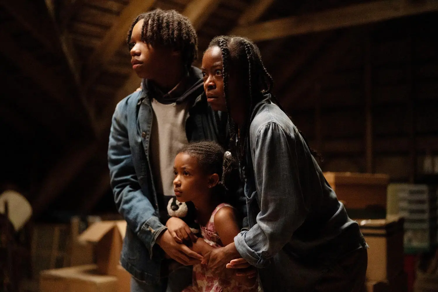 The Woman in the Yard (DVD)