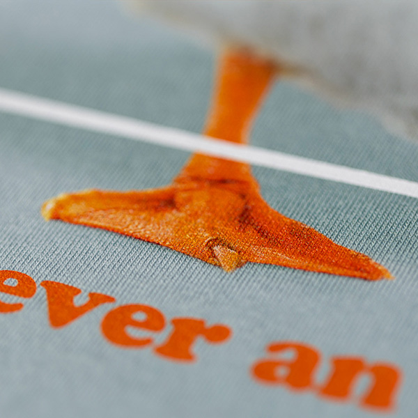 PP Tee BC Peace Iceblue PP Tee BC Peace Iceblue